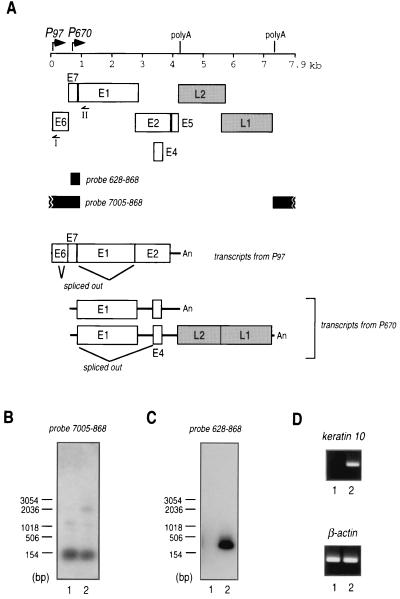 FIG. 7