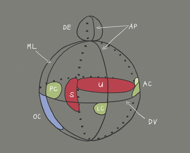 Fig. 3