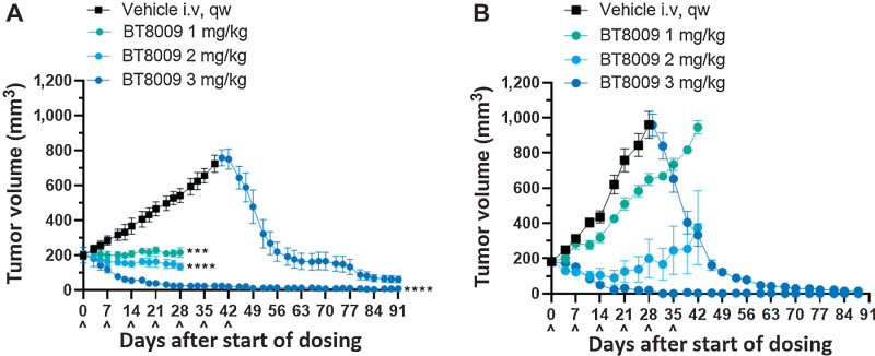 Figure 3. BT8009 shows dose-related antitumor activity in; A, A CDX (triple-negative breast cancer) xenograft model. Dosing of the 3 mg/kg initial treatment group was ceased on day 42. Vehicle-treated animals were switched to 3 mg/kg BT8009 qw on day 40 and then 5 mg/kg qw on day 75. B, a PDX (non–small cell lung) xenograft model. Dosing of the 3 mg/kg initial treatment group was ceased on day 45. Vehicle-treated animals were switched to 3 mg/kg BT8009 qw on day 36. Tumor volumes are shown as mean ± standard error of the mean (n = 3–5) and statistical analysis performed with ordinary one-way ANOVA with Tukey's post hoc test for multiple comparisons ***, P < 0.001 and ****, P < 0.0001