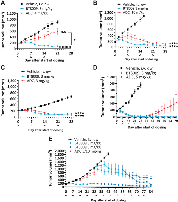 Figure 6. Head-to-head studies with the Nectin-4 ADC. A and B, Dose response to ADC in NSCLC CDX (NCI-H292) with high dose showing slower tumor regression than with BT8009; C, Response in TNBC CDX (MDA-MB-468) showing slower response to treatment with ADC; D, Equivalent regression rate with ADC, but tumor growth resumed on cessation of dosing, indicating incomplete regression in a lung PDX (LU-01–0412), unlike after BT8009; E, Lack of effect of ADC in head and neck PDX (HN-13–001) compared with BT8009 efficacy. ADC was dosed at 5 mg/kg on D0 and D7, then increased to 10 mg/kg on D14. ADC-treated tumors remain responsive to BT8009. Tumor volumes are shown as mean ± standard error of the mean (n = 3–16) and statistical analysis performed with ordinary one-way ANOVA with Tukey's post hoc test for multiple comparisons n.s., non-significant; *, P < 0.05; ***, P < 0.001; and ****, P < 0.0001.