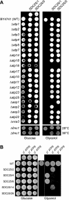 FIGURE 2.