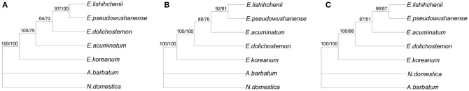 Figure 6