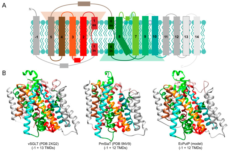 Figure 2