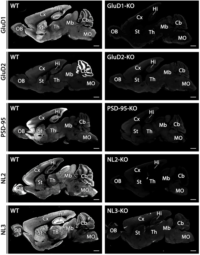 Fig. 8.