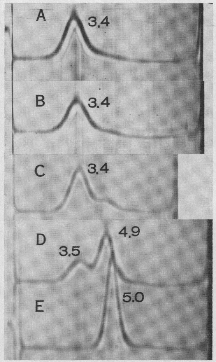 graphic file with name pnas00236-0135-a.jpg