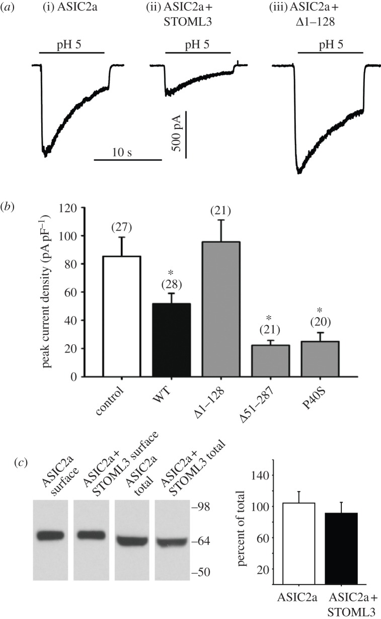 Figure 5.