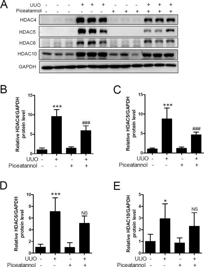 Fig 7