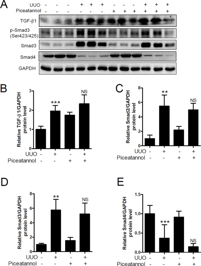 Fig 8