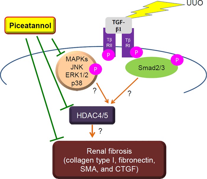 Fig 10