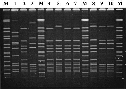 FIG. 6.