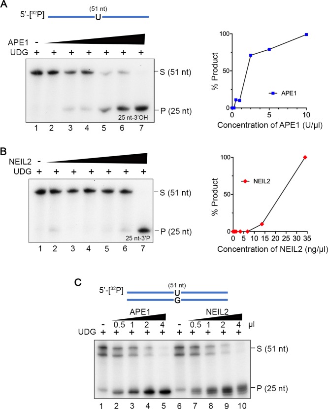 Figure 4—figure supplement 3.