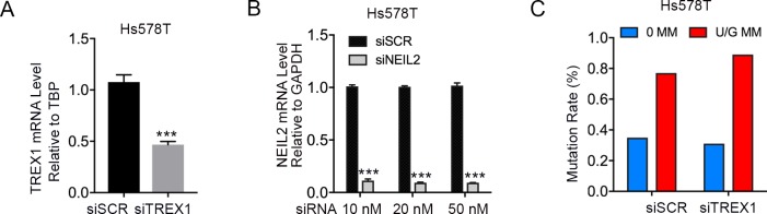 Figure 2—figure supplement 1.