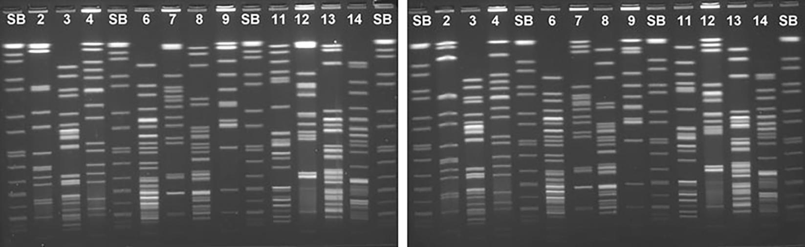 FIG. 4.