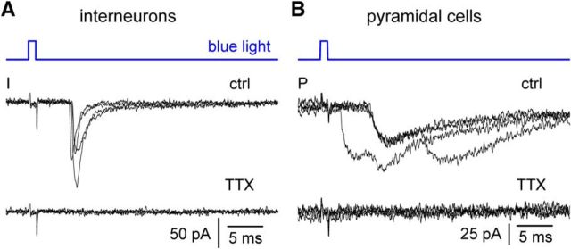 Figure 9.