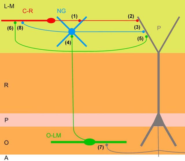 Figure 14.