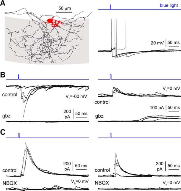 Figure 13.