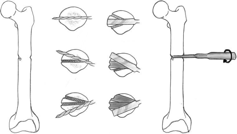 Fig. 5