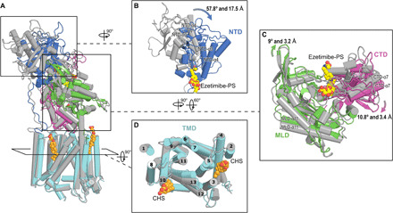 Fig. 3