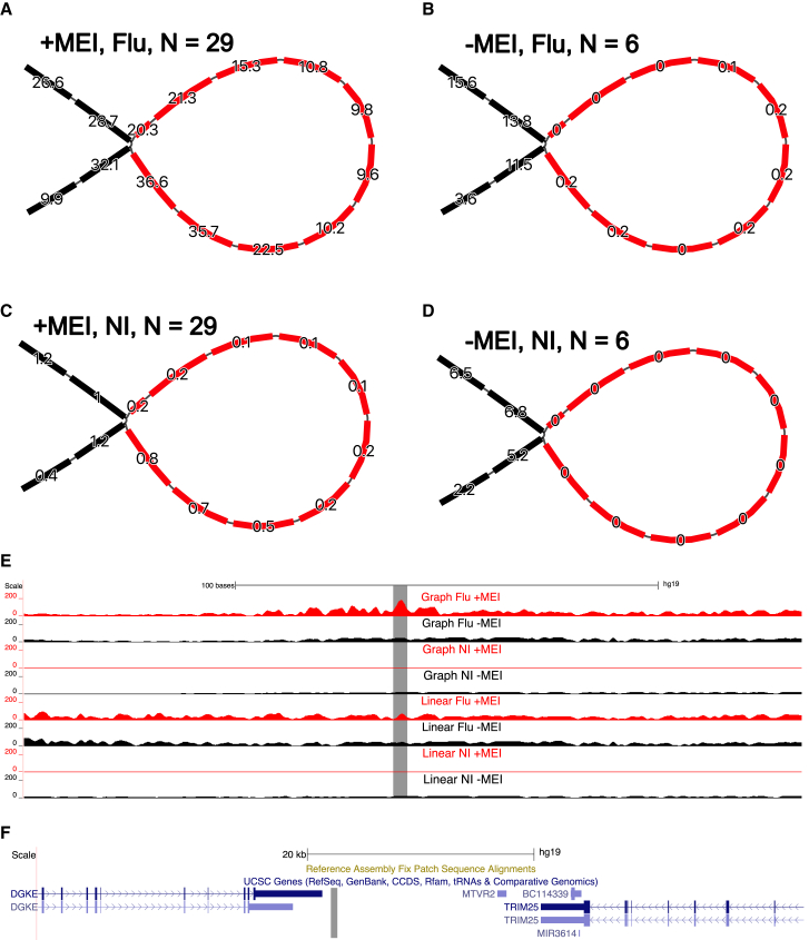 Figure 6