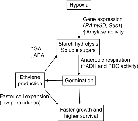 Fig. 11.