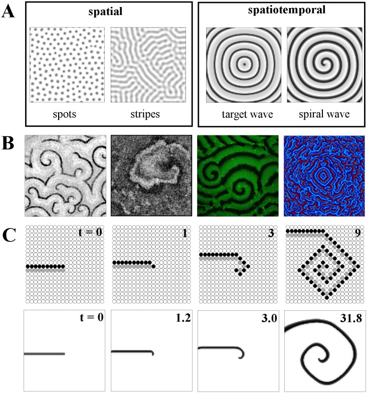 Fig 1