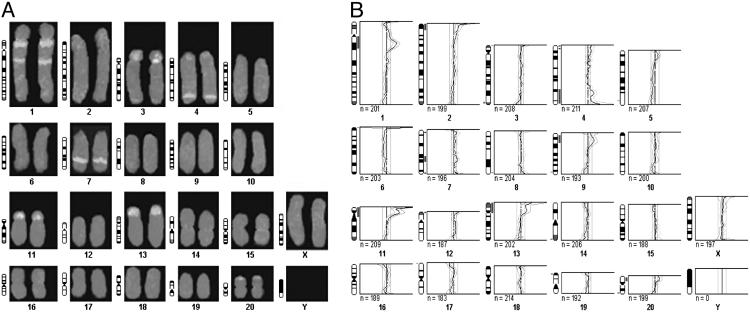 Fig. 5.