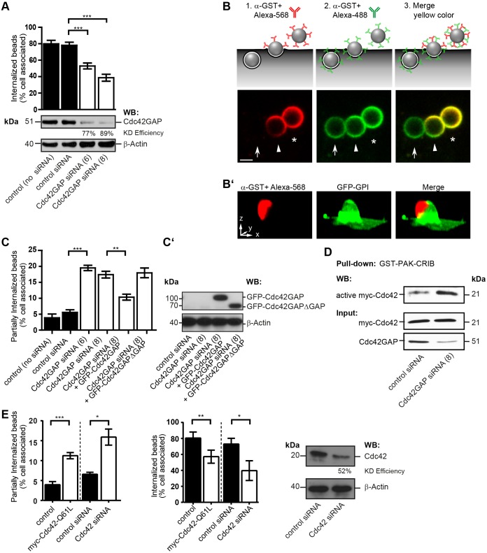 Fig. 2.