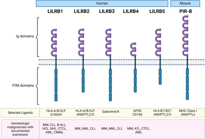 Fig. 1