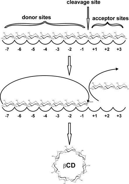 Fig. 1