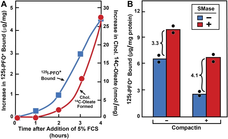 Figure 3—figure supplement 1.