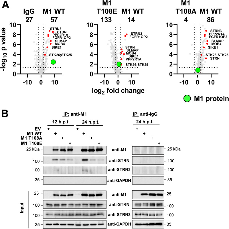 FIG 6