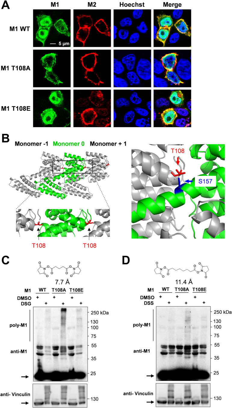 FIG 3