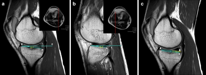 Fig. 2