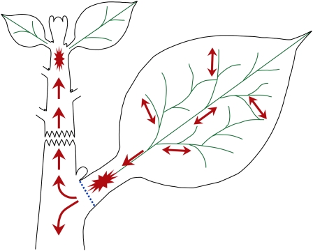 Figure 10.