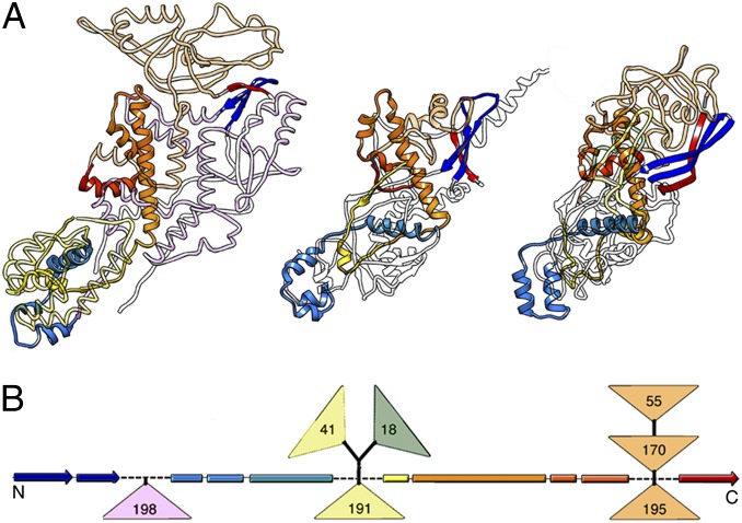 Fig. 6.