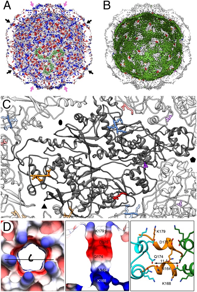 Fig. 4.