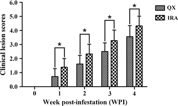 Fig. 2