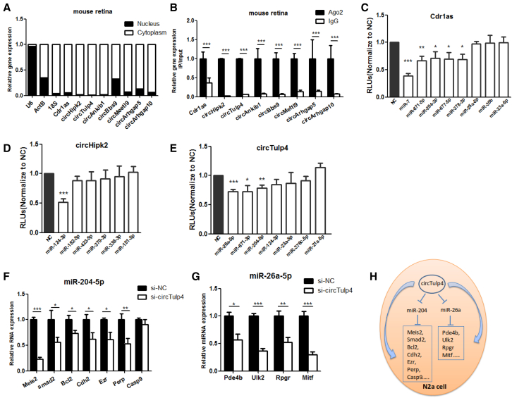 Figure 4