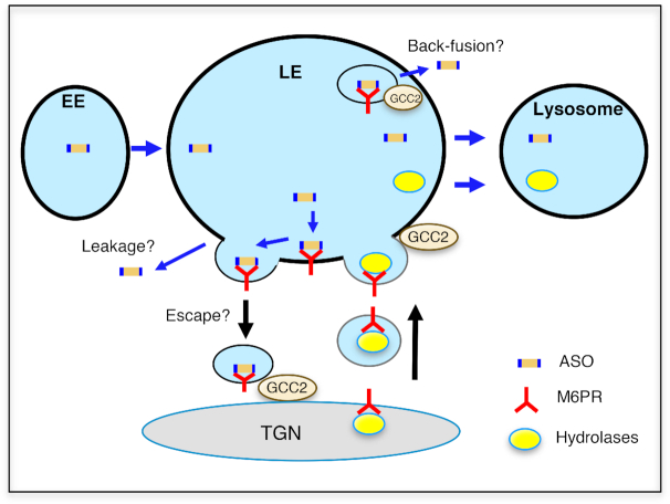 Figure 10.