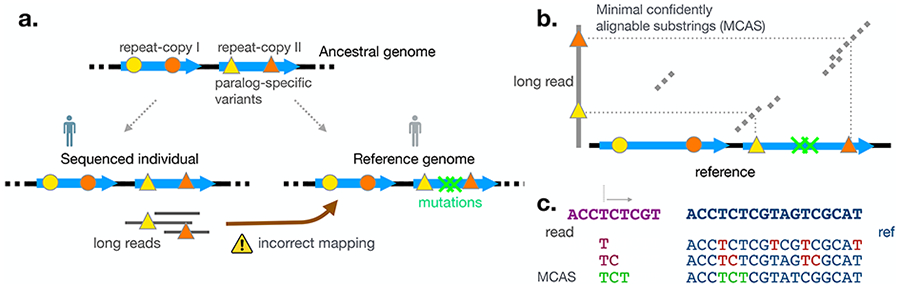 Figure 1: