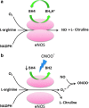 <b>FIG. 5.</b>