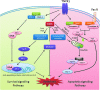 <b>FIG. 12.</b>