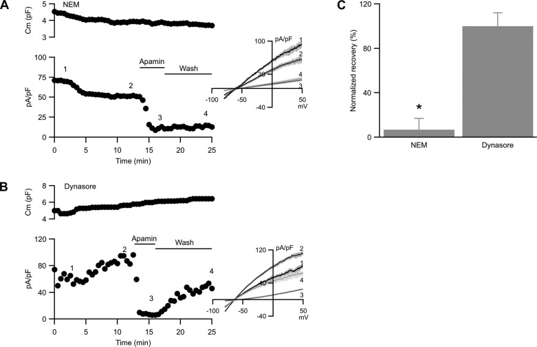 Fig. 3.