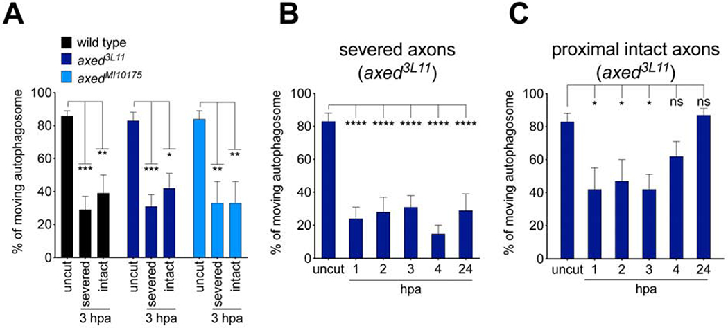 Figure 3: