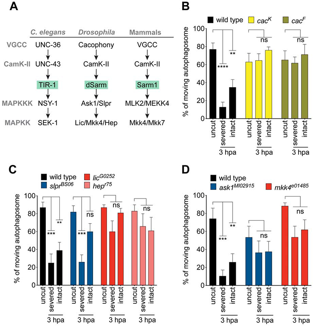 Figure 4: