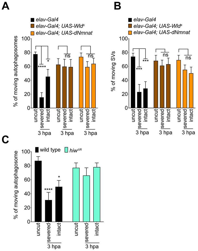 Figure 6: