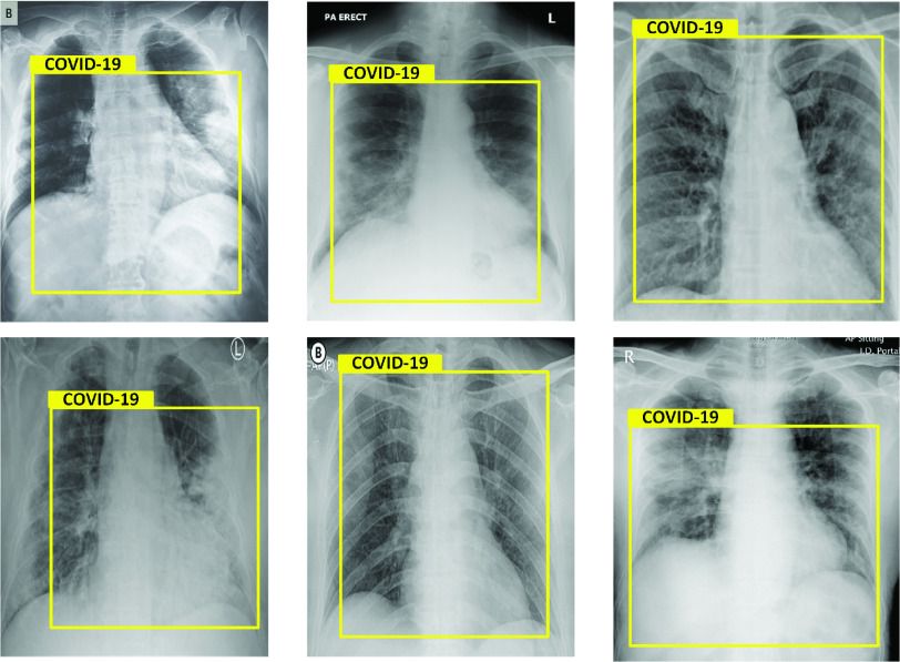 Fig. 8.