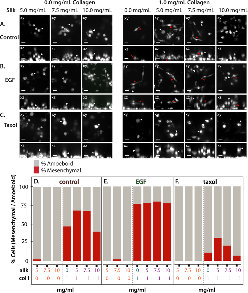 Figure 6: