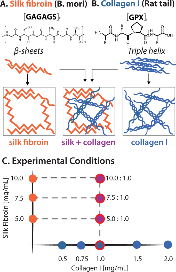 Figure 1: