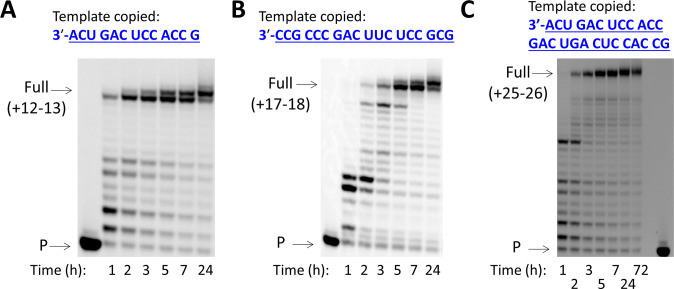 Figure 6